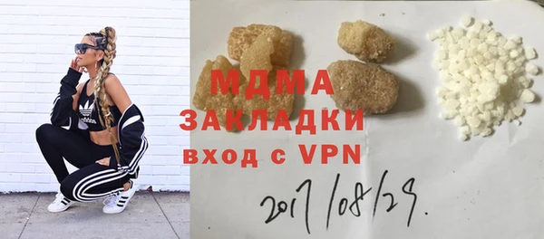 шишки Долгопрудный