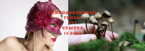 дмт Абинск
