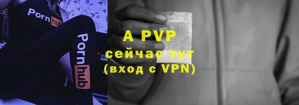 МДПВ Абаза