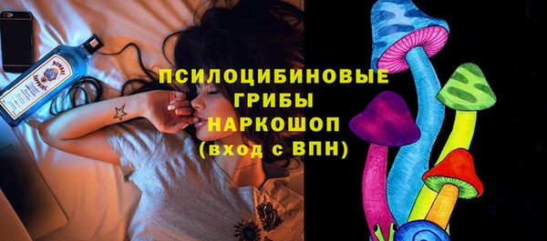 мдпв Абдулино